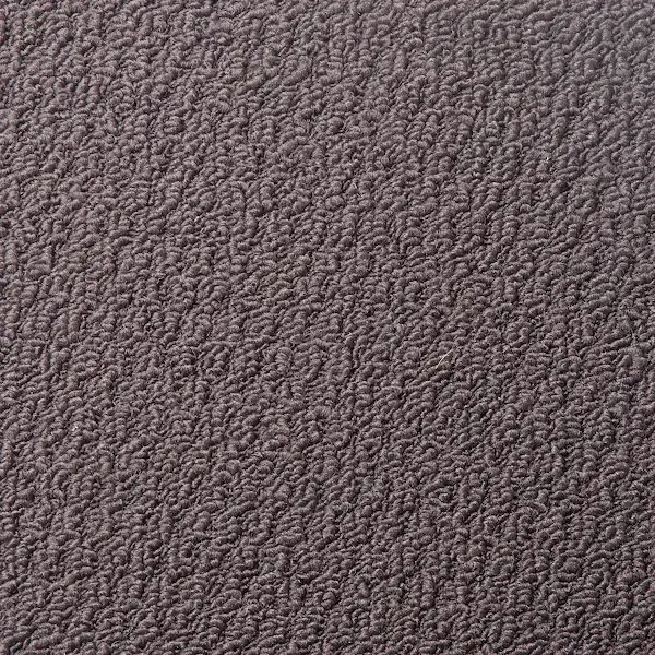 Beaulieu Solution Dyed Polypropylene Carpet